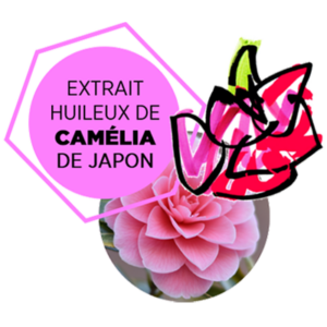 SUBTIL-ACTIF-EXTRAIT-HUILEUX-DE-CAMELIA-DU-JAPON-02