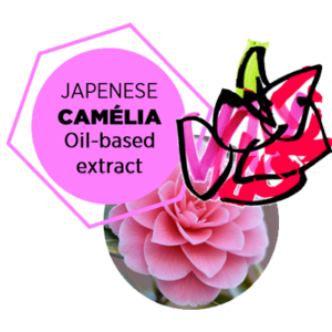 SUBTIL-ACTIF-EXTRAIT-HUILEUX-DE-CAMELIA-DU-JAPON-03-EN