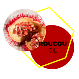 SUBTIL-ACTIF-HUILE-DE-ROUCOU-EN